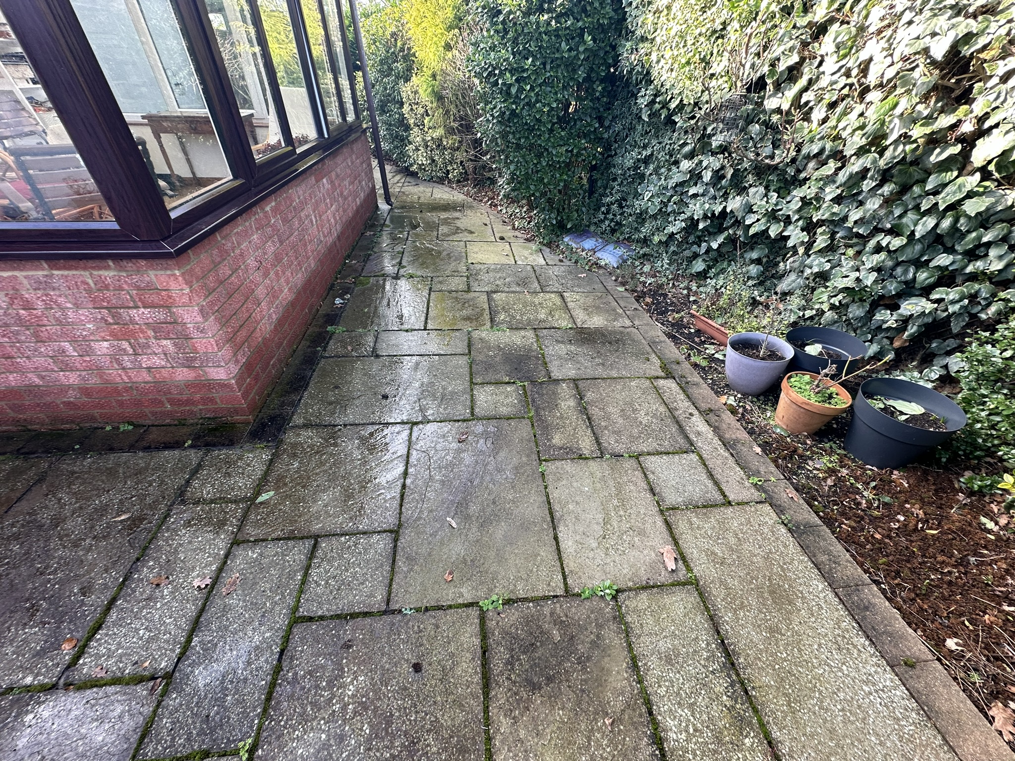 Hard surface before pressure washing – algae and moss