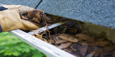 gutter cleaning